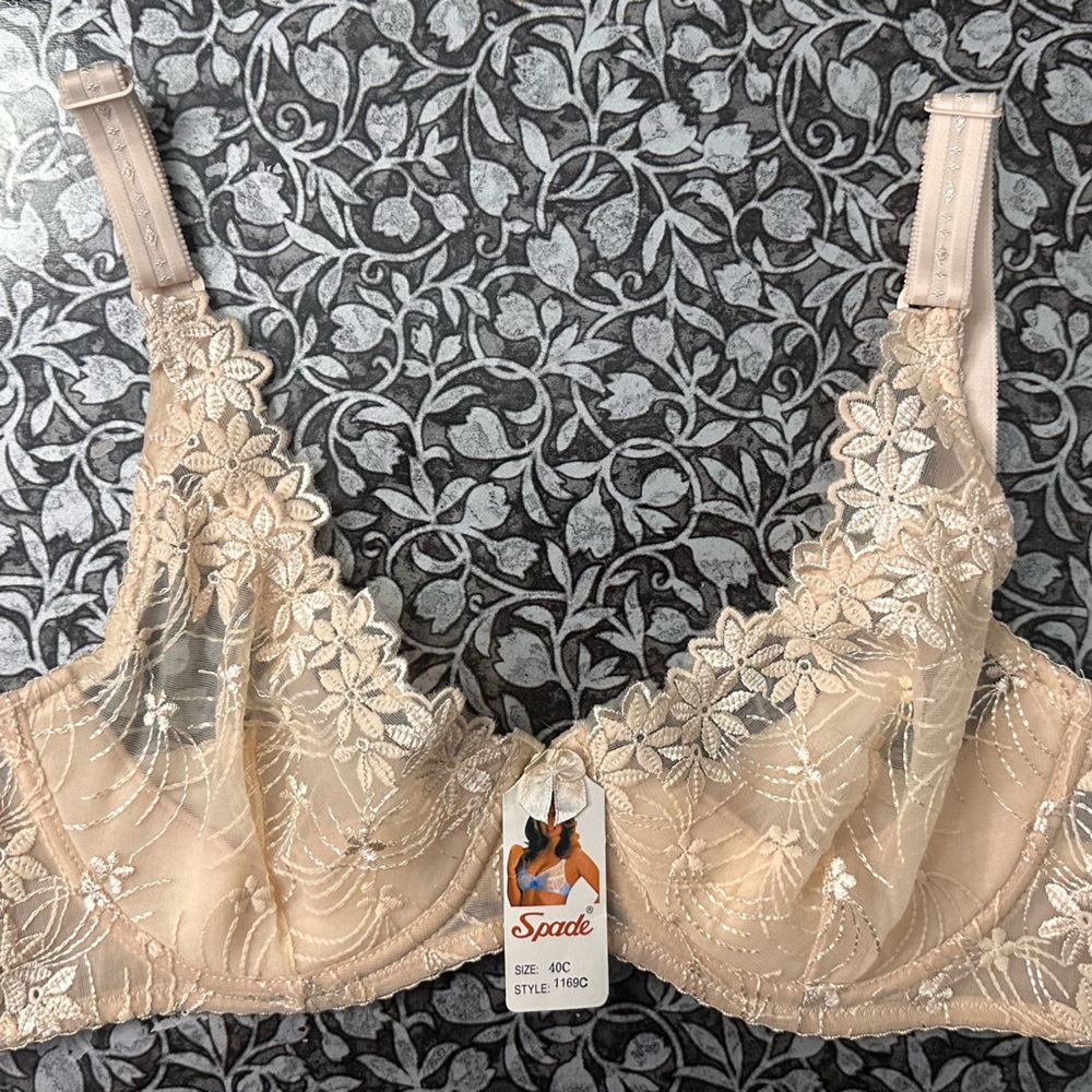 Spode Lace Embroidered Bra - Cream